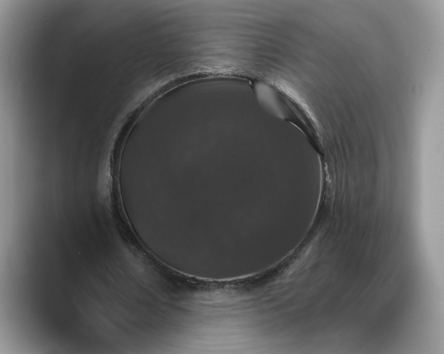 X0000089660674200707051530