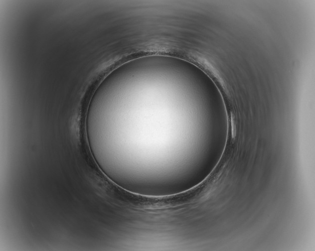 X0000089660675200707051530