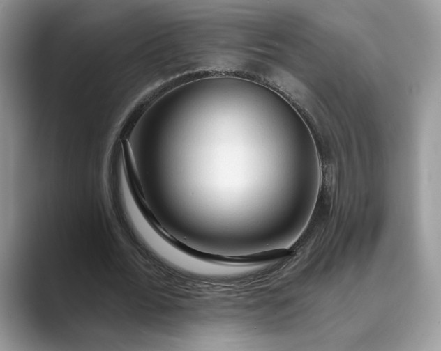 X0000089660676200707051530