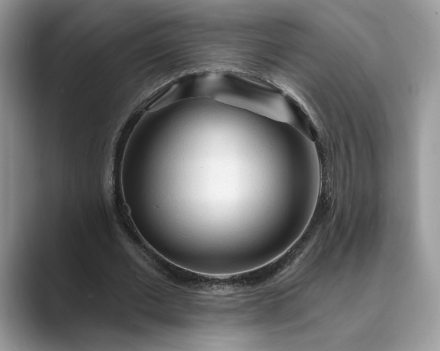 X0000089660677200707051530