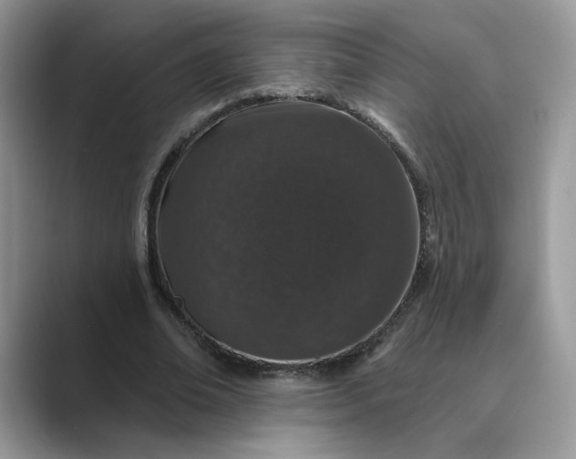 X0000089660678200707051530