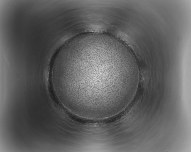 X0000089660679200707051530