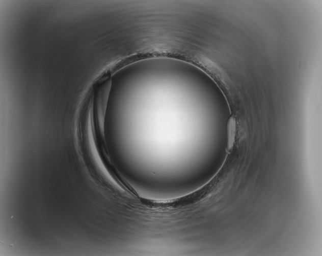 X0000089660680200707051530