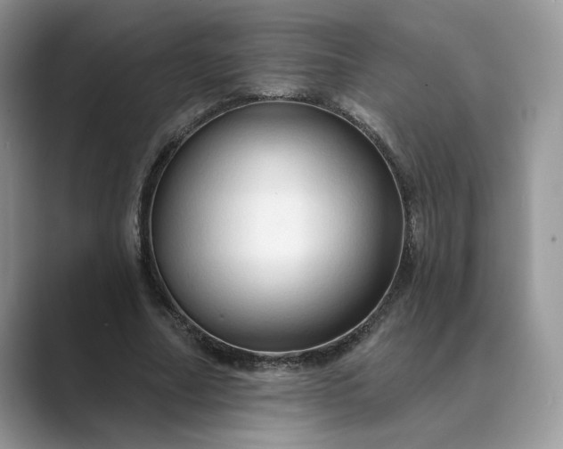 X0000089660682200707051530