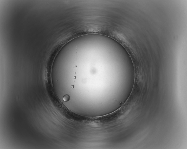 X0000089660683200707051530