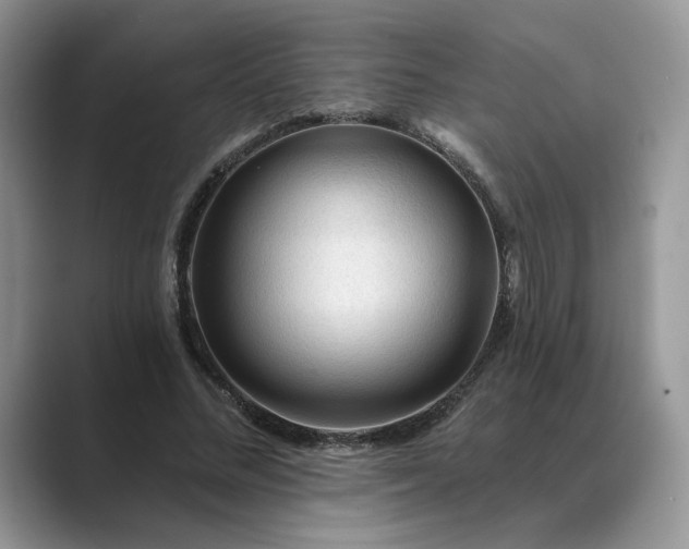 X0000089660684200707051530