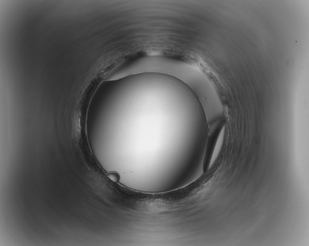 X0000089660685200707051530