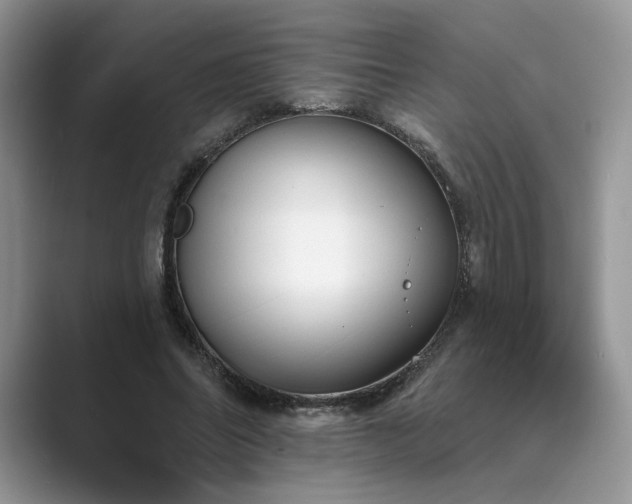 X0000089660686200707051530