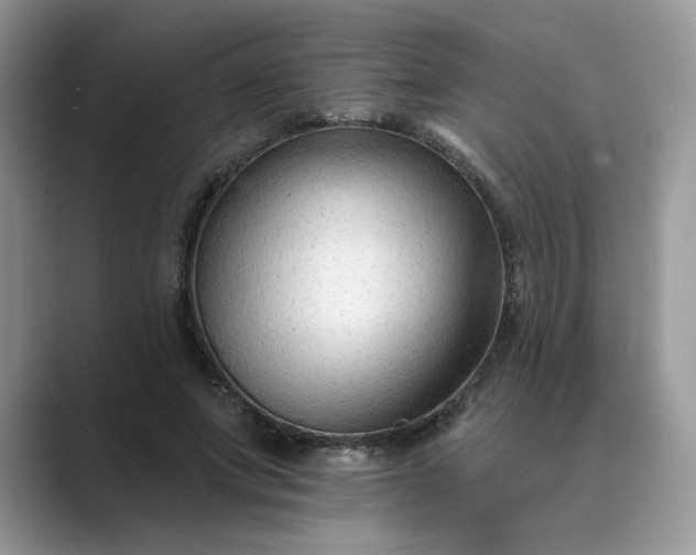 X0000089660687200707051530