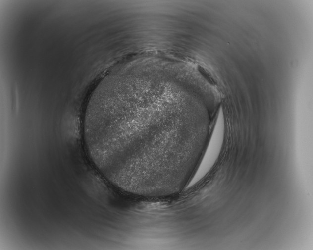 X0000089660689200707051530