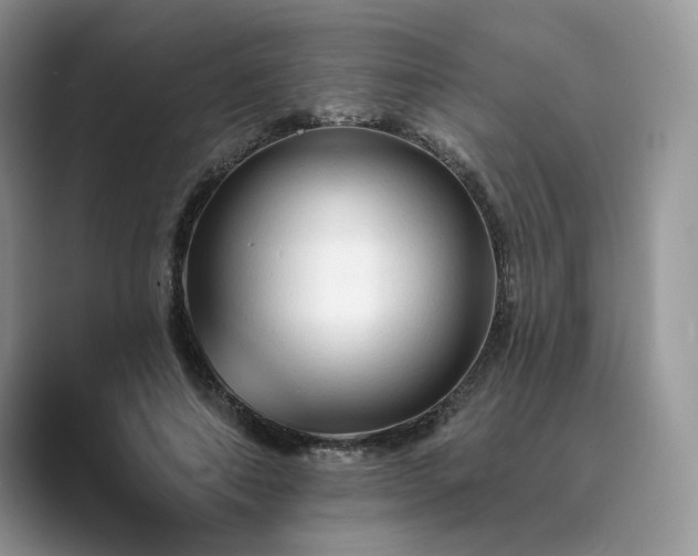 X0000089660690200707051530