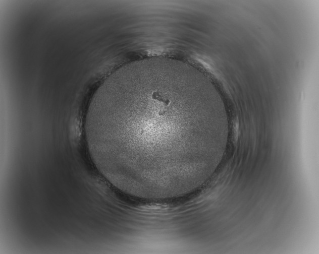 X0000089660691200707051530