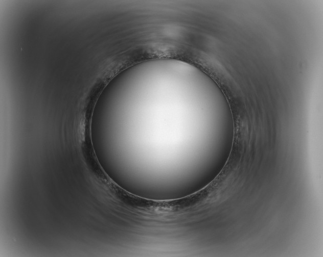 X0000089660694200707051530