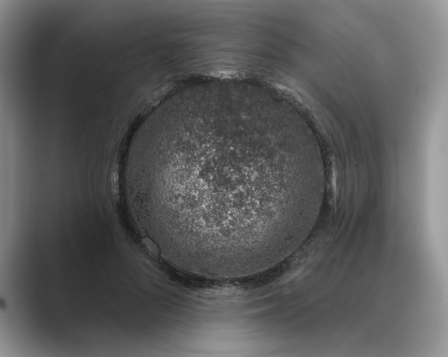 X0000089660696200707051530