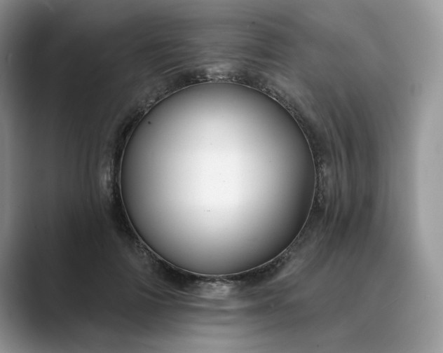 X0000089660698200707051530