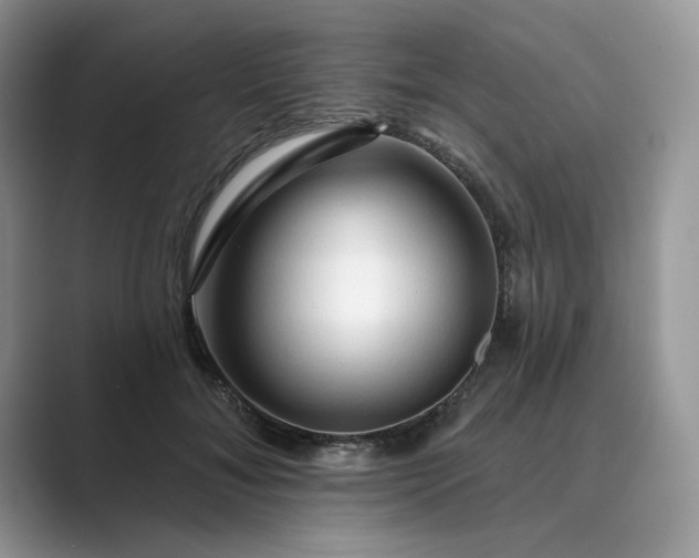 X0000089660700200707051530