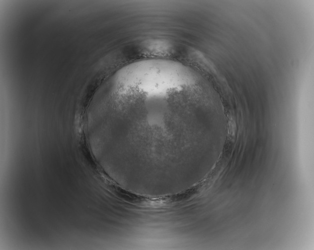 X0000089660701200707051530