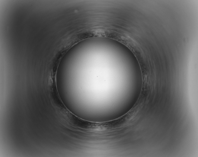 X0000089660702200707051530