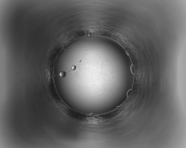 X0000089660703200707051530