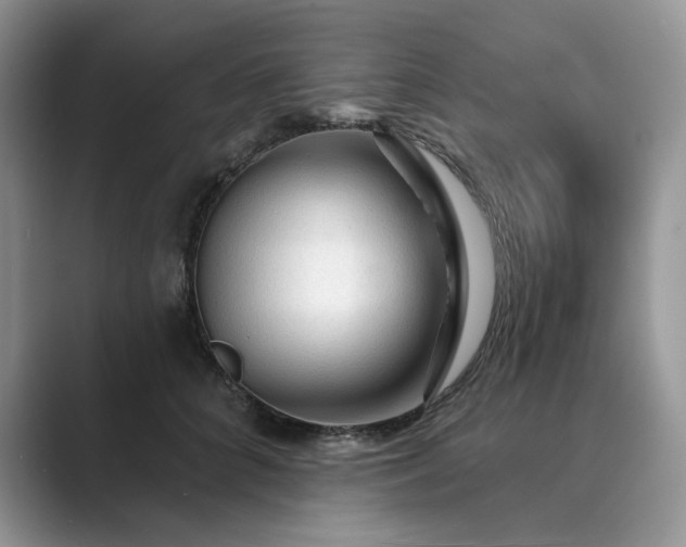 X0000089660704200707051530