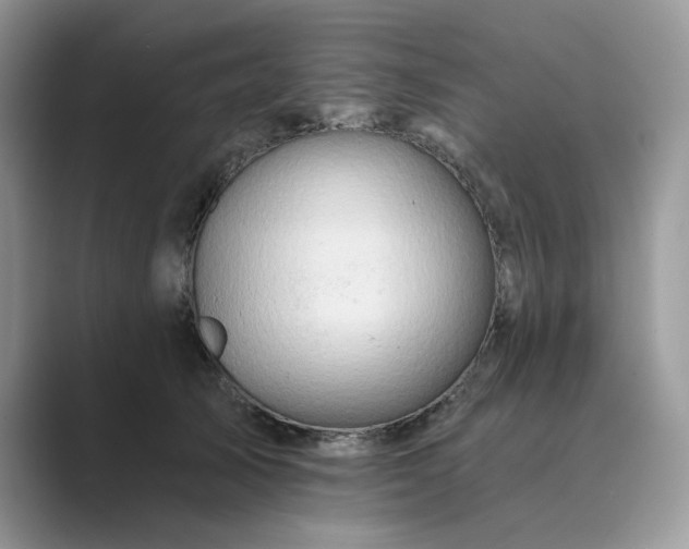 X0000089660705200707051530