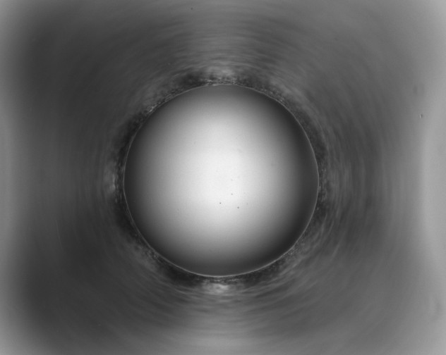 X0000089660706200707051530