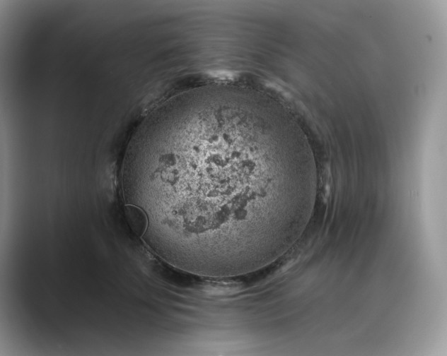 X0000089660707200707051530