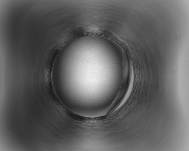 X0000089660708200707051530