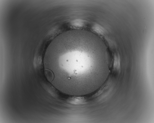 X0000089660711200707051530