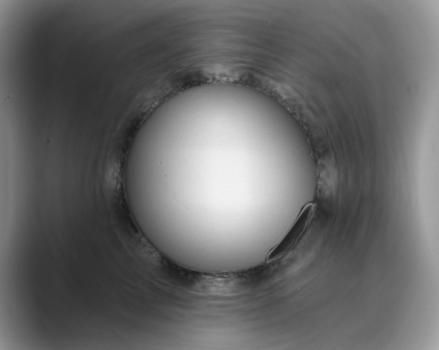 X0000089660713200707051530