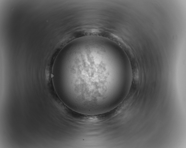 X0000089660715200707051530