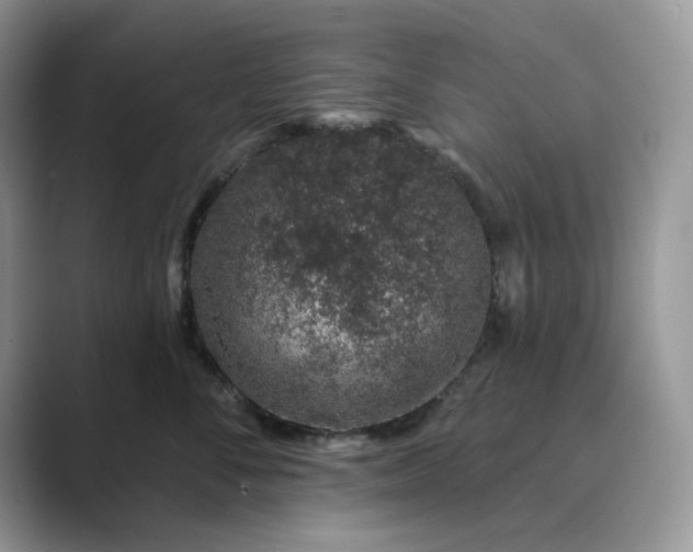 X0000089660716200707051530