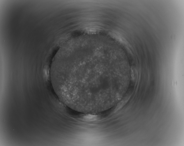 X0000089660718200707051530