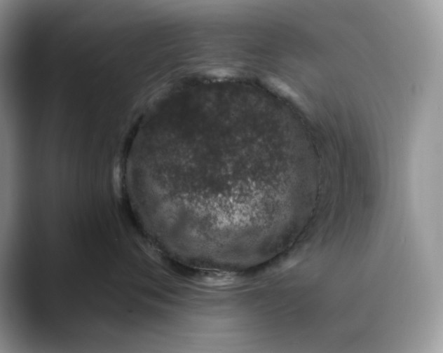 X0000089660720200707051530