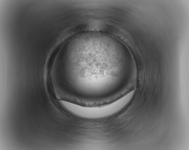 X0000089660722200707051529