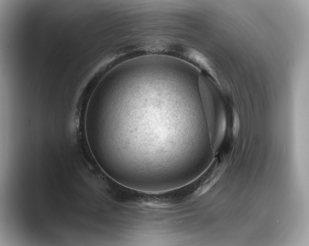 X0000089660723200707051529