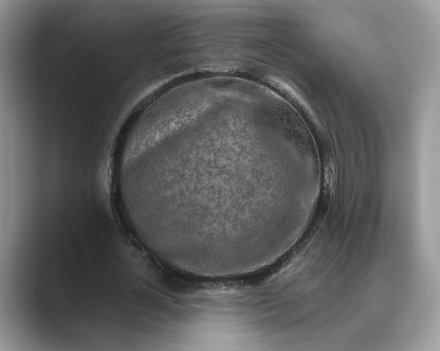 X0000089660724200707051529