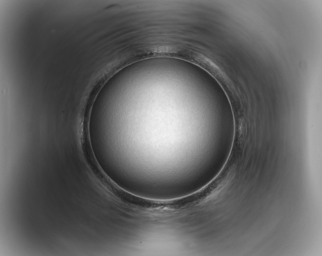 X0000089660725200707051529