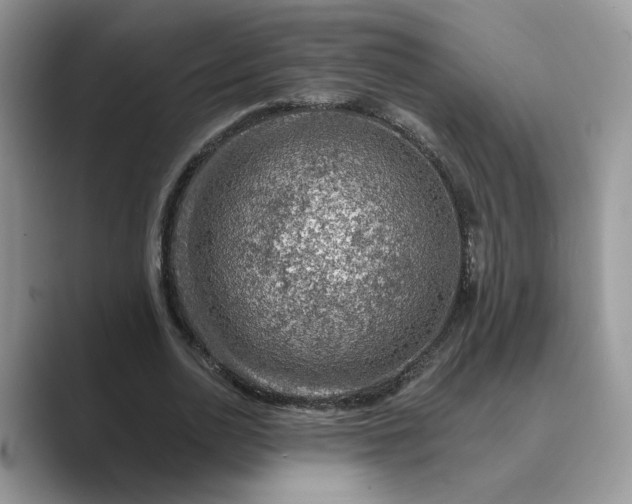 X0000089660726200707051529