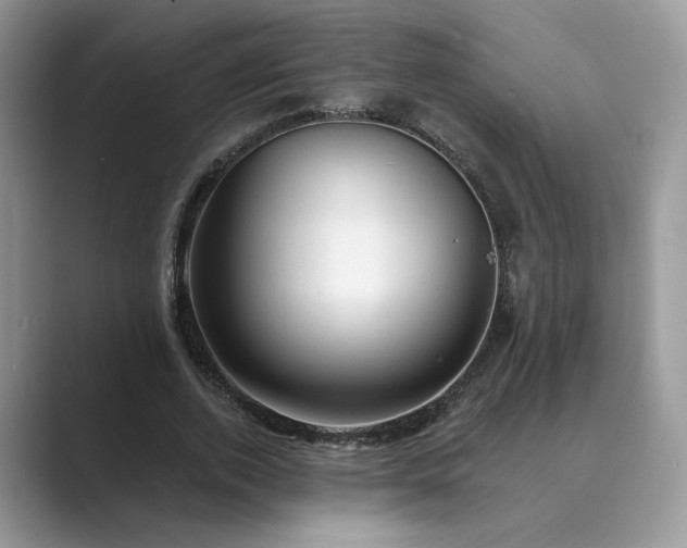 X0000089660728200707051529