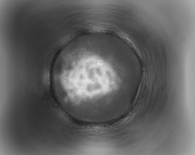 X0000089660729200707051529