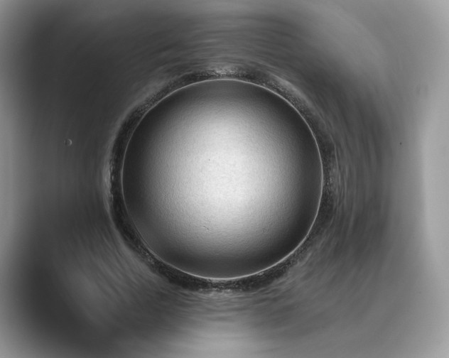 X0000089660730200707051529