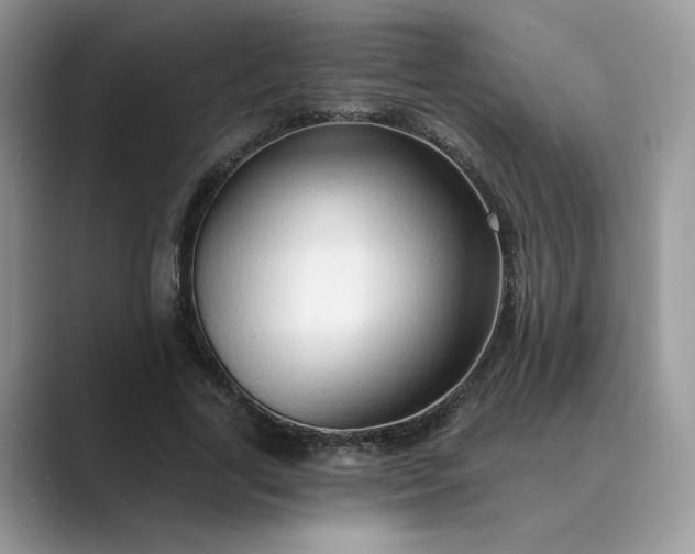 X0000089660731200707051529