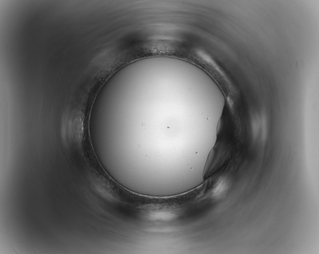 X0000089660733200707051529