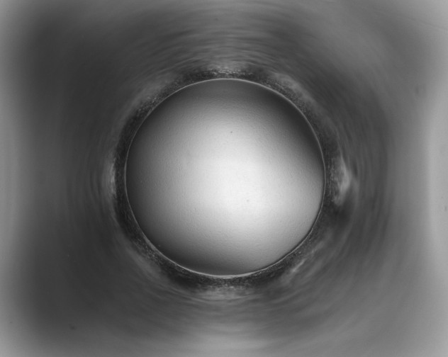 X0000089660734200707051529