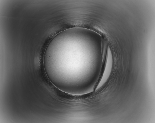 X0000089660735200707051529