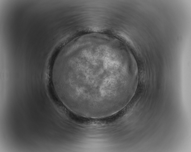 X0000089660736200707051529