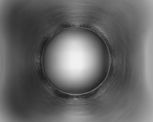 X0000089660737200707051529