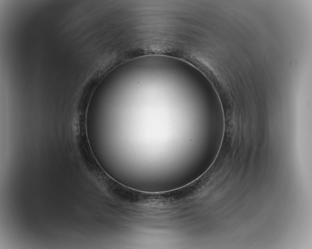 X0000089660738200707051529