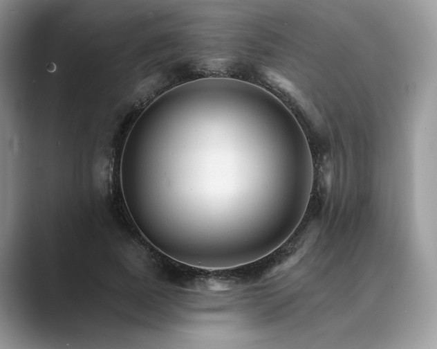 X0000089660739200707051529